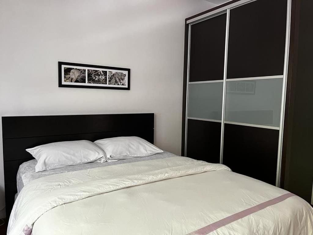 Condesa Residence Amsterdam D Sunny 2Bed 1Bath Apt In Condesa Mexico City Exterior photo