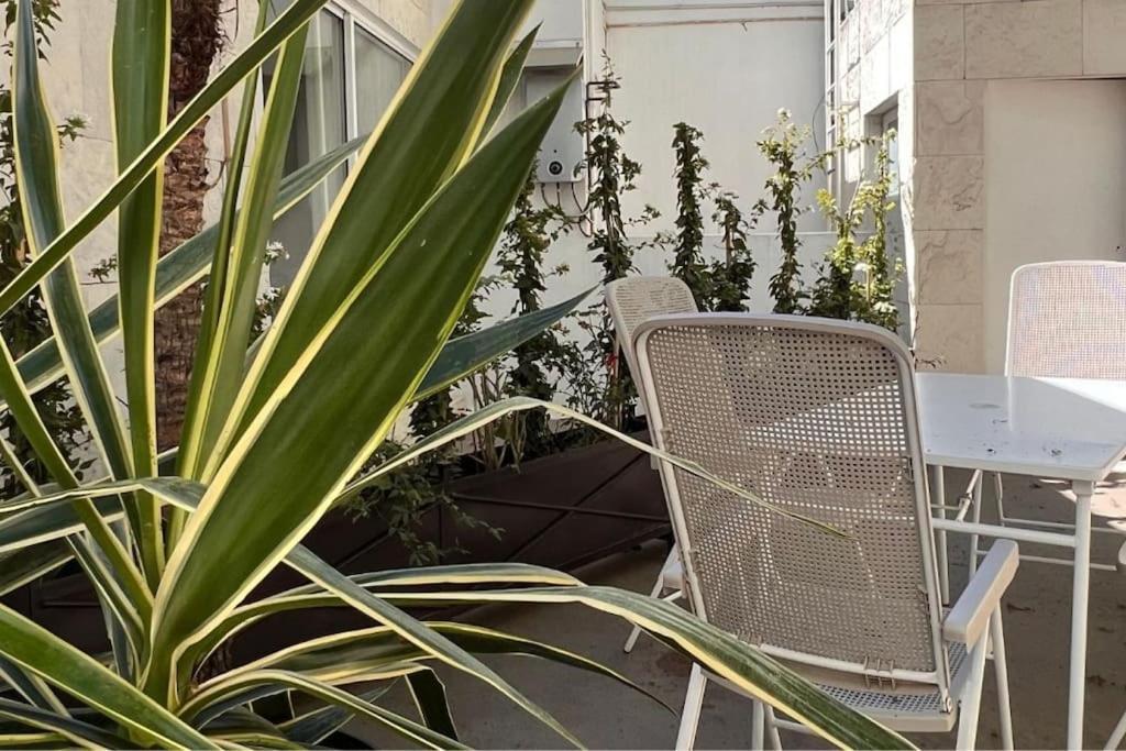 Condesa Residence Amsterdam D Sunny 2Bed 1Bath Apt In Condesa Mexico City Exterior photo