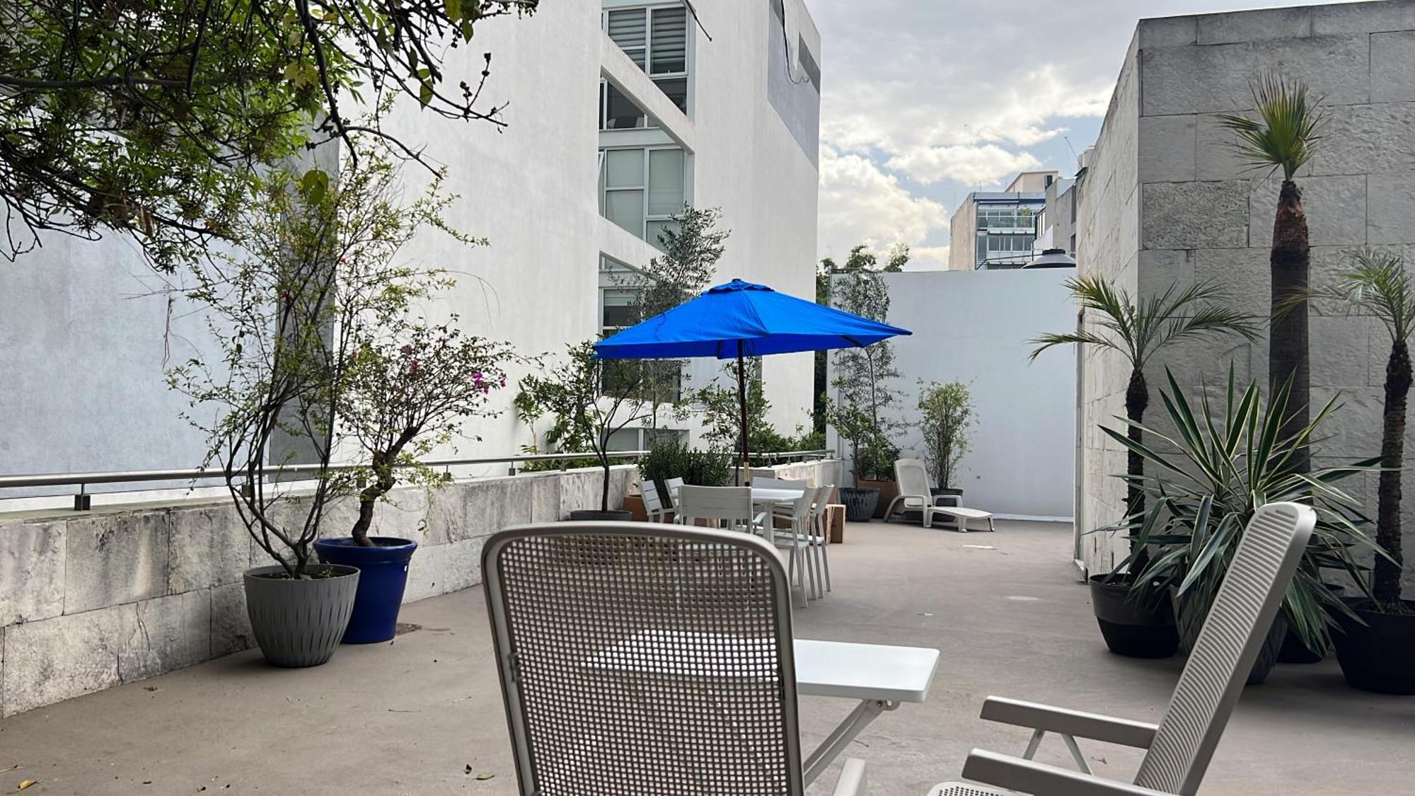 Condesa Residence Amsterdam D Sunny 2Bed 1Bath Apt In Condesa Mexico City Exterior photo