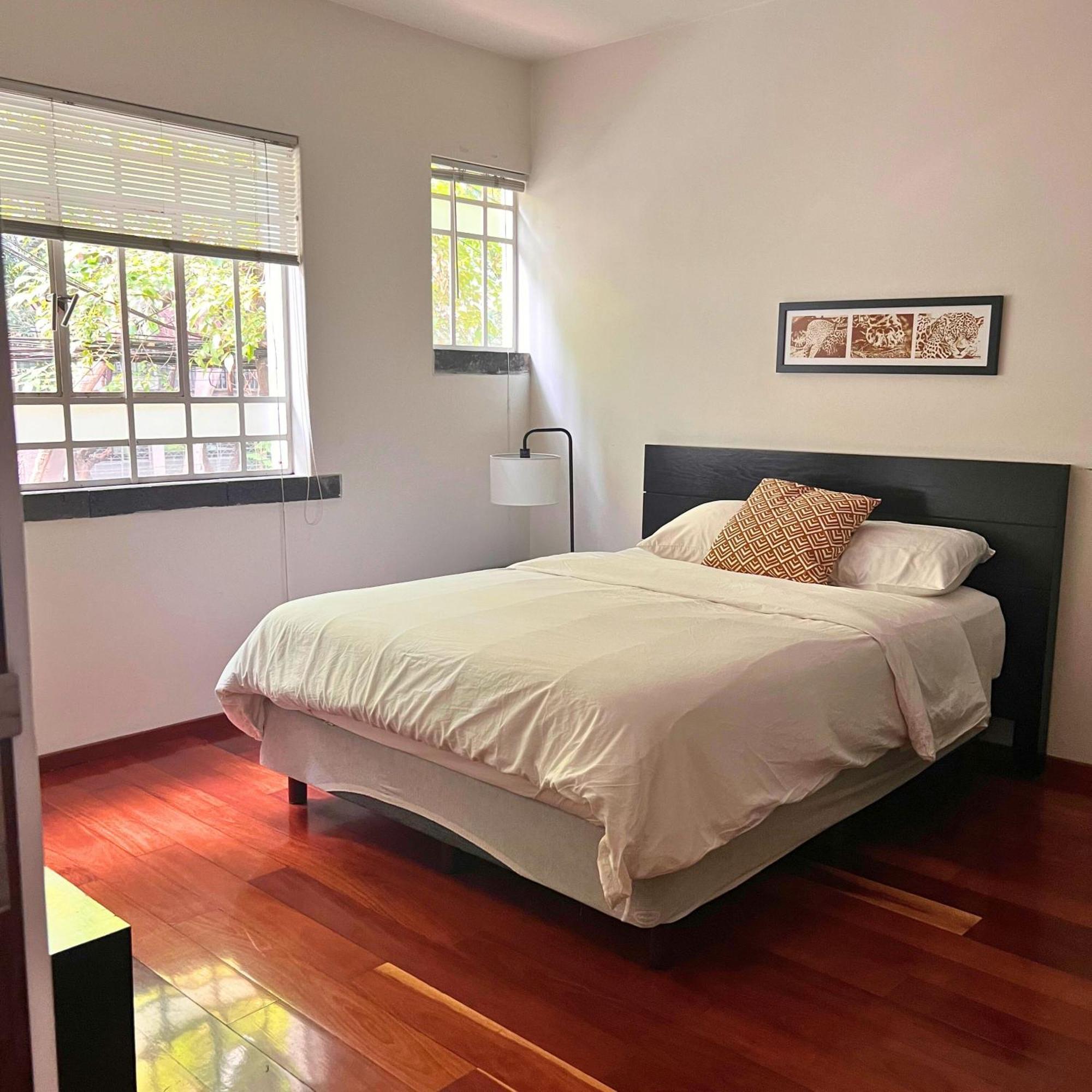 Condesa Residence Amsterdam D Sunny 2Bed 1Bath Apt In Condesa Mexico City Exterior photo